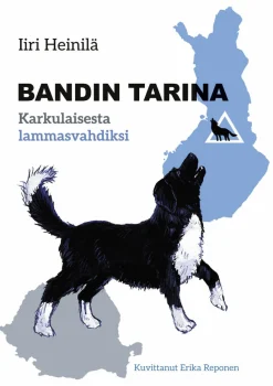 Bandin tarina