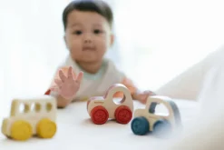 Cruiser Plantoys
