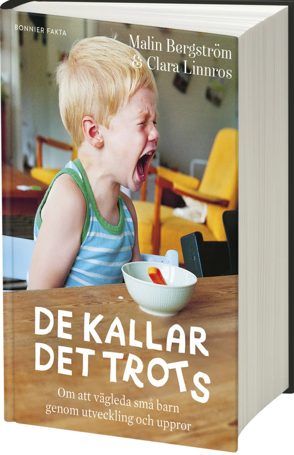 De kallar det trots : om att vägleda små barn genom utveckling och uppror