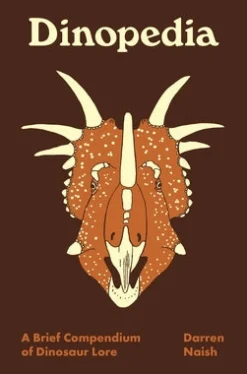 Dinopedia