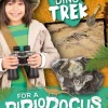 Dino-Trek for a Diplodocus