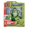 Dissect it Sammakko