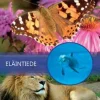Eläintiede