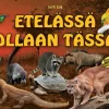 Etelässä ollaan tässä