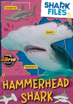 Hammerhead shark