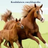 Hevonen