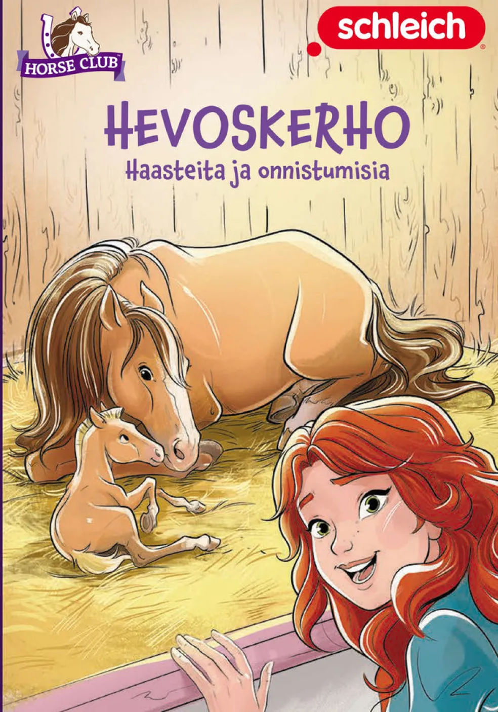 Hevoskerho - Haasteita ja onnistumisia