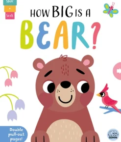 How Big is a Bear?