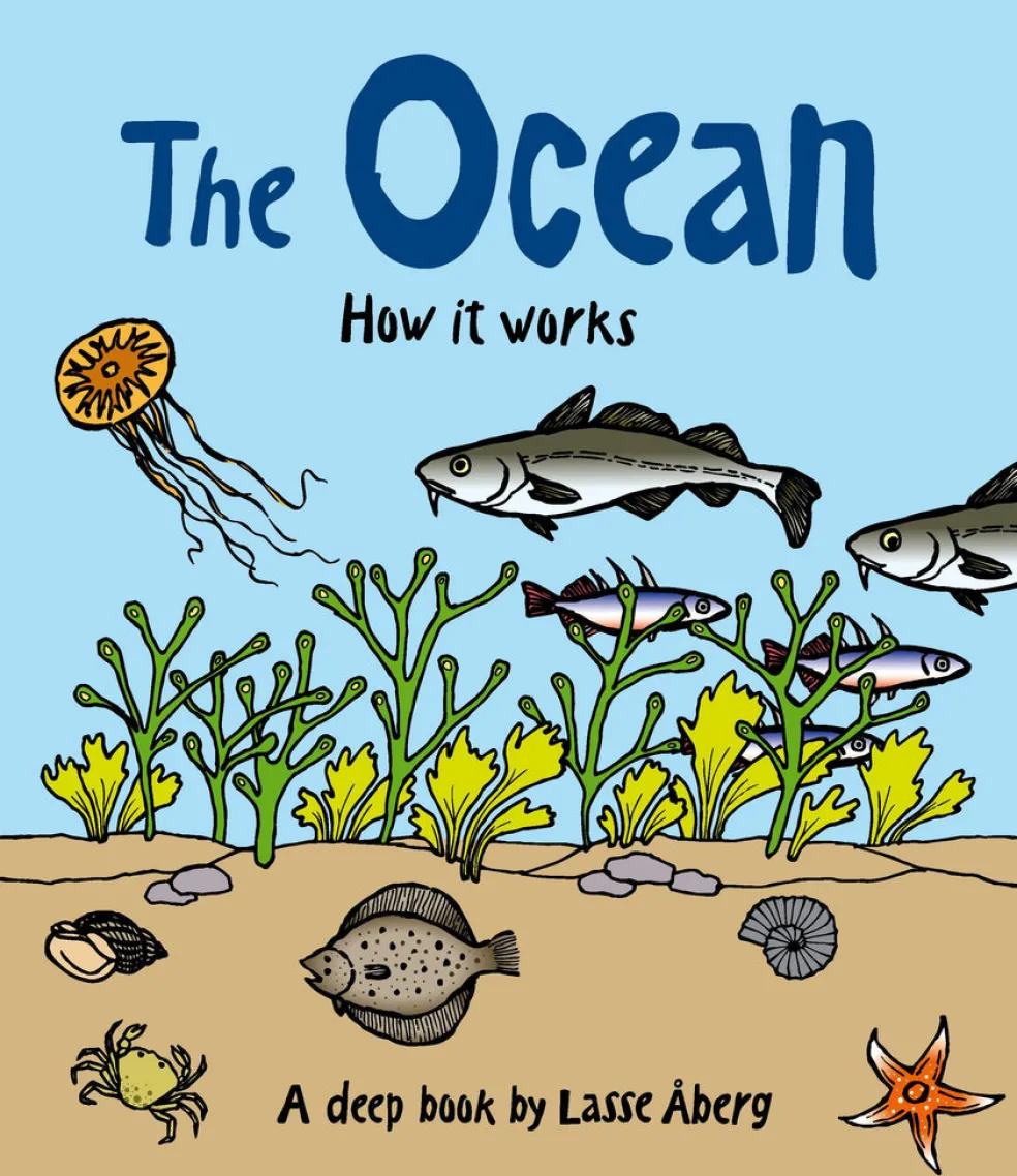 How the ocean works