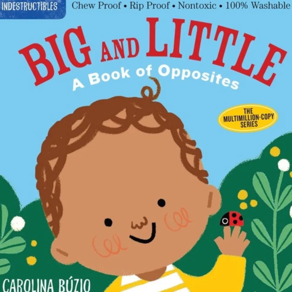 Indestructibles: Big and Little: A Book of Opposites