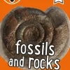 i-SPY Fossils and Rocks