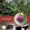 Kasvitiede