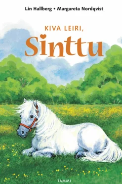 Kiva leiri, Sinttu