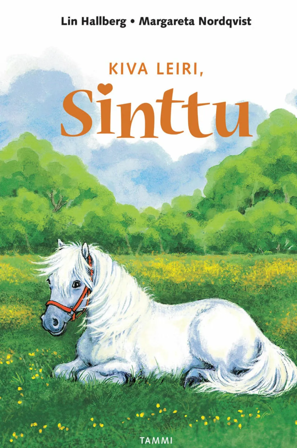 Kiva leiri, Sinttu