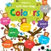 Lift-the-flap Colours
