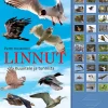 Linnut - kuuntele ja tunnista