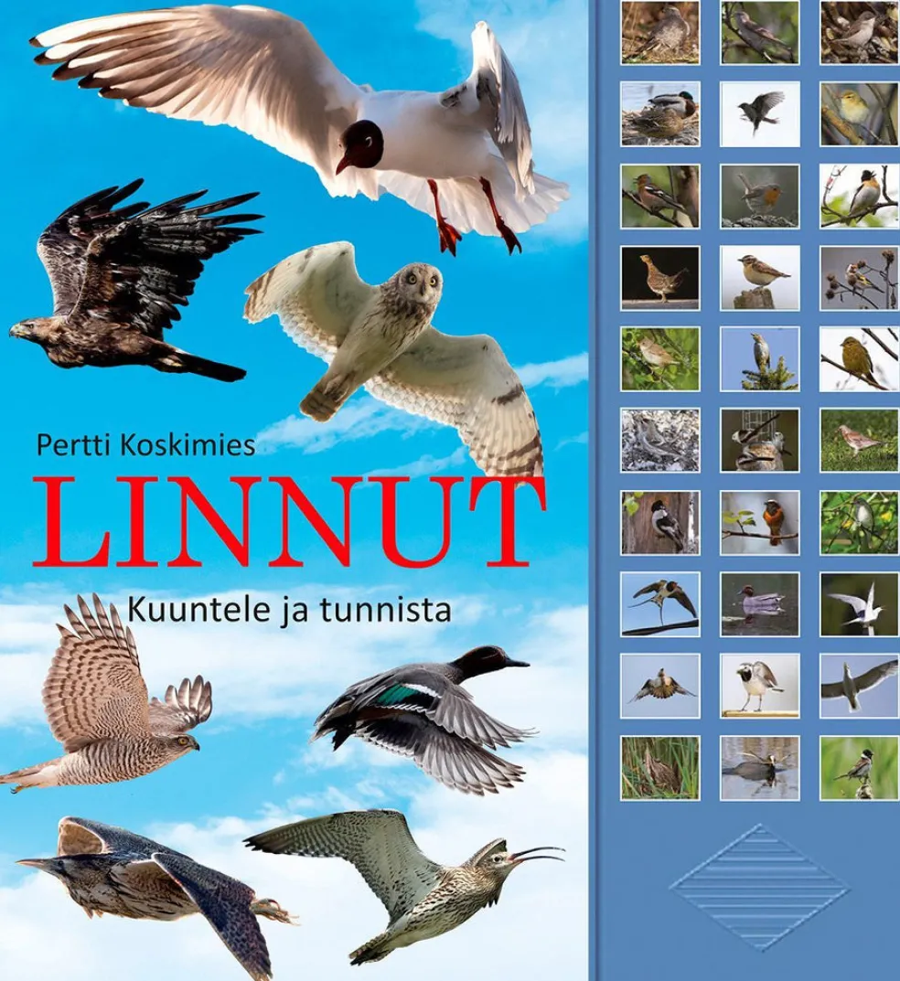Linnut - kuuntele ja tunnista