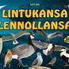 Lintukansa lennollansa