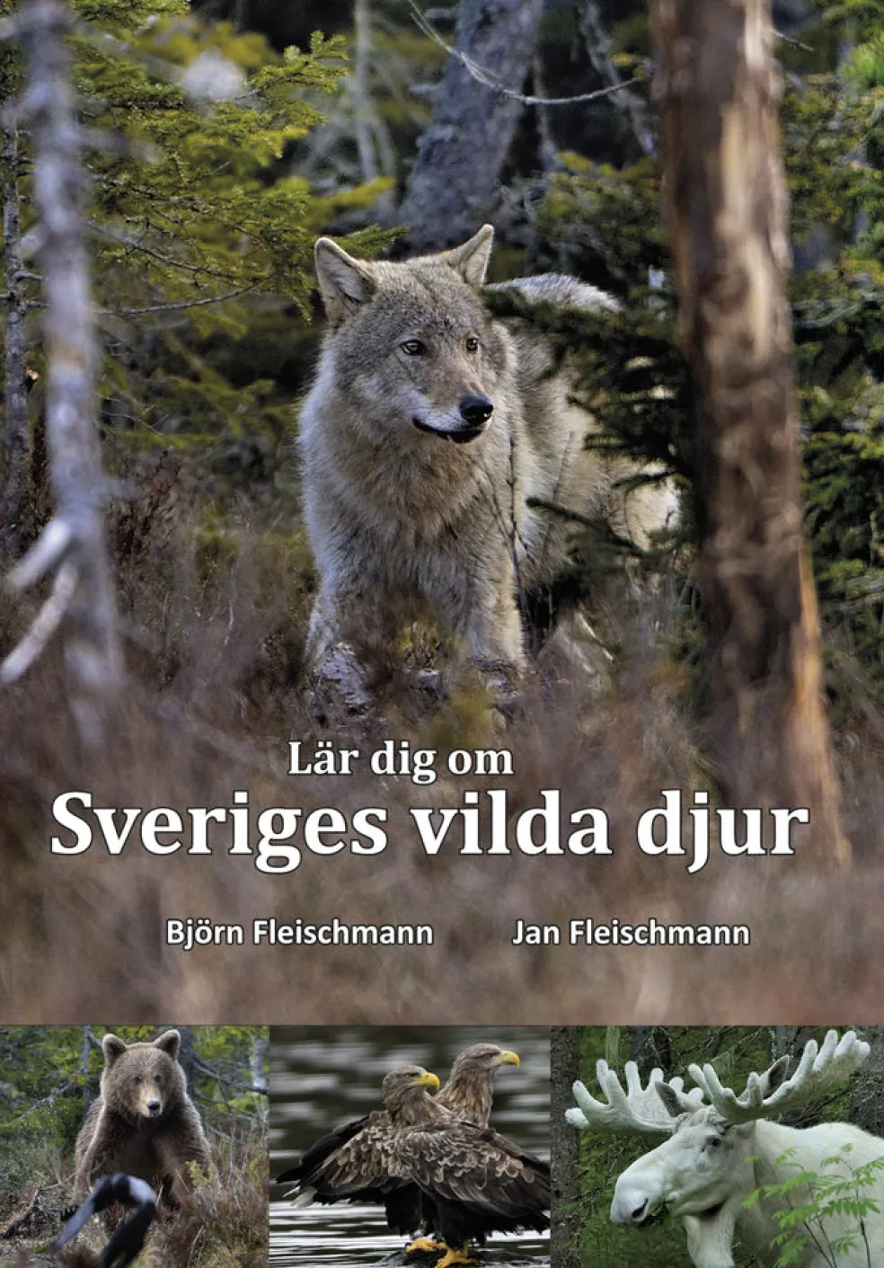 Lär dig om Sveriges vilda djur