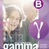 Matematik Gamma B-boken