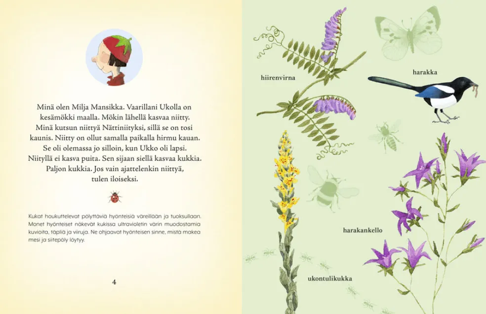 Miljan niittyopas