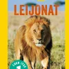 National Geographic. Leijonat