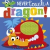 Never Touch a Dragon