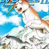 Noah 11