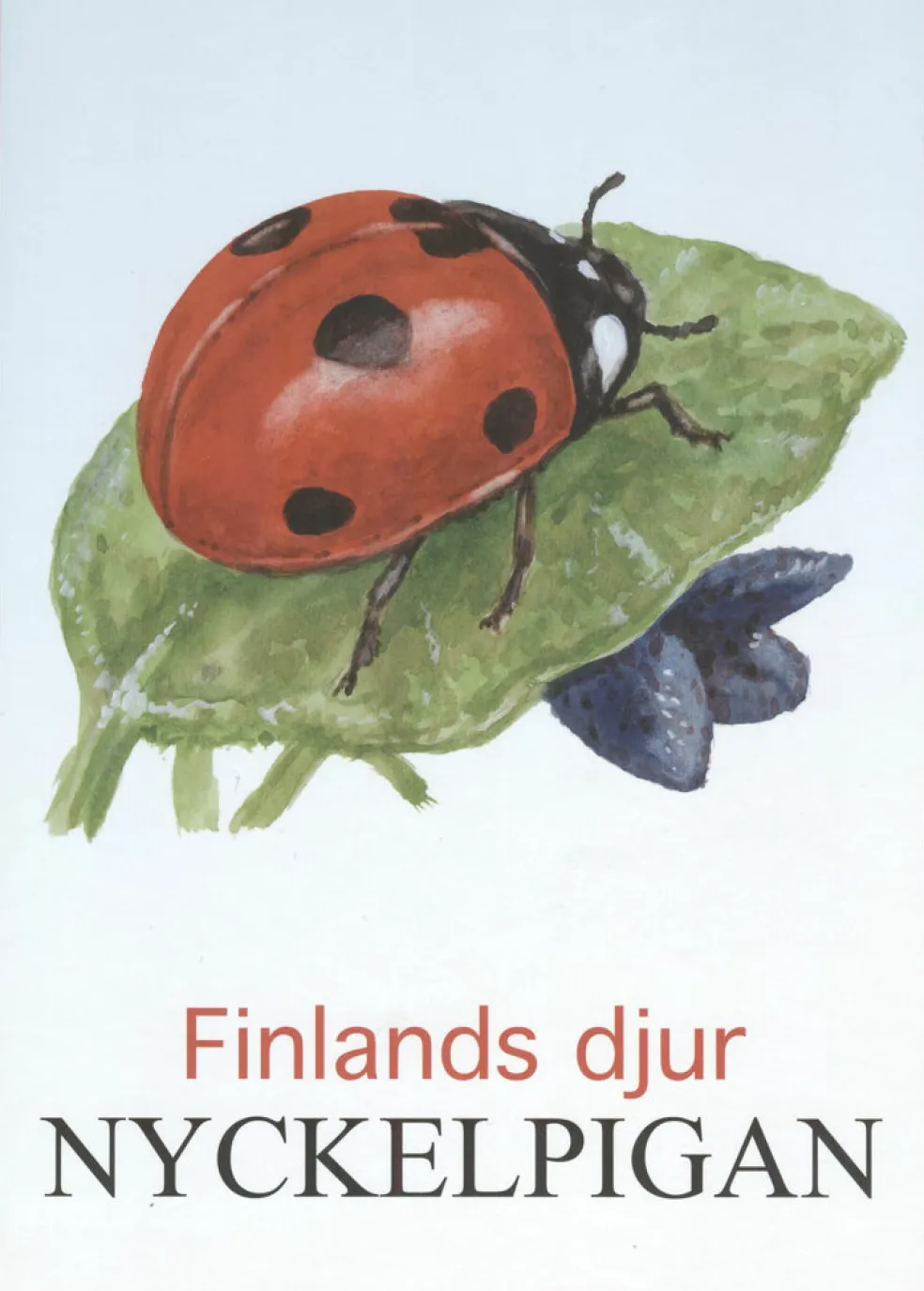 Nyckelpigan