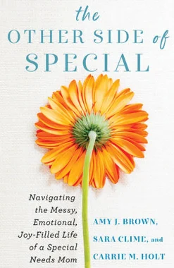 Other Side of Special – Navigating the Messy, Emotional, Joy–Filled Life of a Special Needs Mom, The