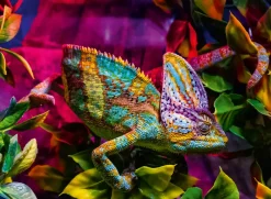 Palapeli 500 palaa Chameleon