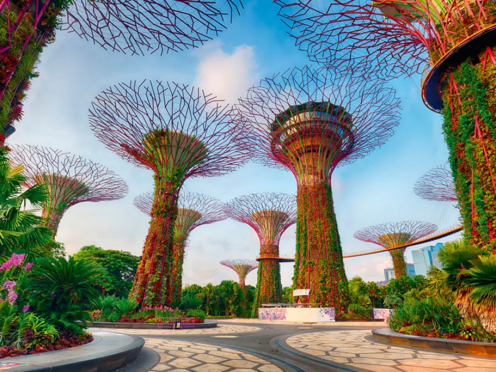Palapeli 1500 palaa Garden By The Bay At Singapore