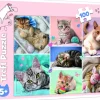 Palapeli 100 palaa In the cats world