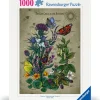 Palapeli 1000 palaa Lifecircle Butterfly