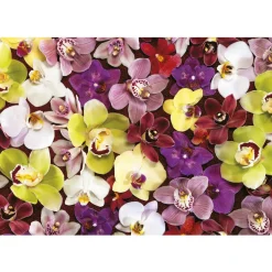 Palapeli 1000 palaa Orchid Collage