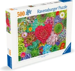 Palapeli 500 palaa Succulent Love