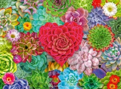 Palapeli 500 palaa Succulent Love