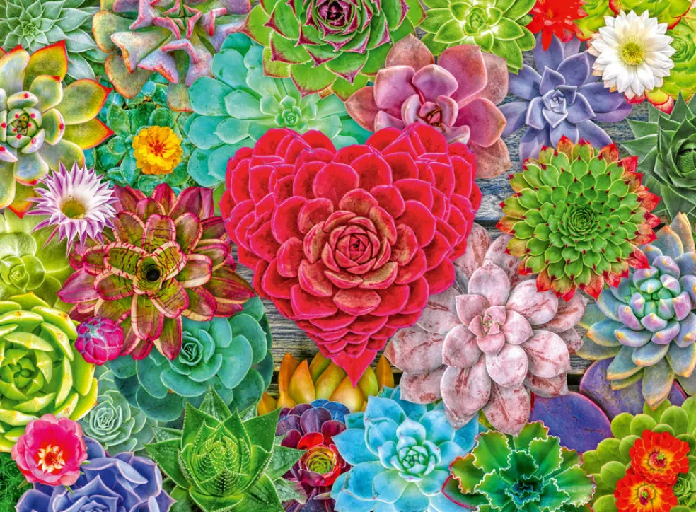 Palapeli 500 palaa Succulent Love