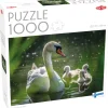 Palapeli 1000 palaa Swan on Lake with Babies