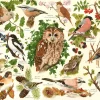Palapeli 500 palaa Woodland Birds BIG
