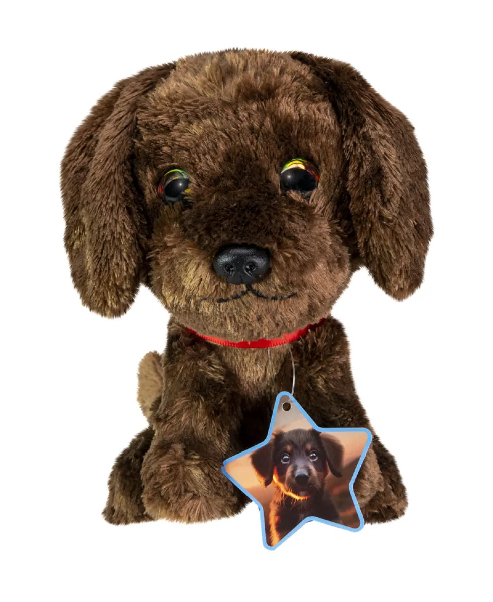 Pehmo Lumo Stars Labrador retriever Choco classic