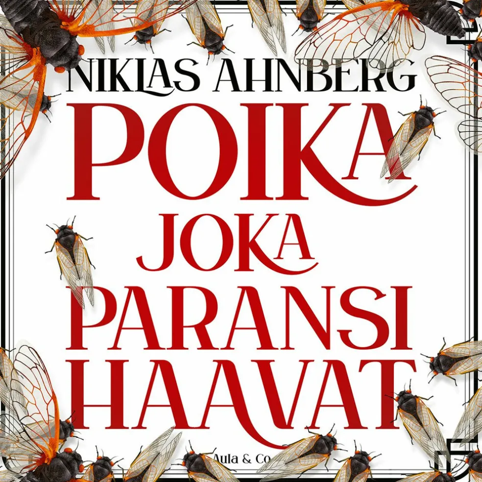 Poika joka paransi haavat