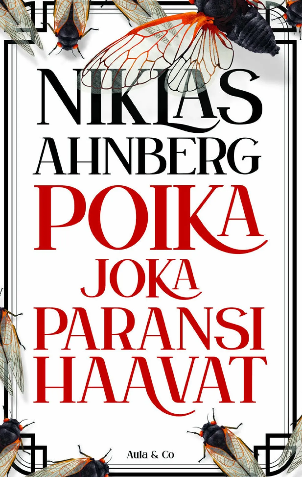 Poika joka paransi haavat