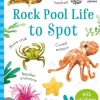 Rock Pool Life to Spot