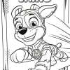 Ryhmä Hau - Paw Patrol Mighty Pups Super Paws Mahtivärejä