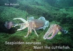 Seepioiden seurasssa