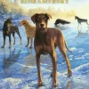 Selviytyjät: Koiramyrsky