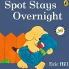 Spot Stays Overnight