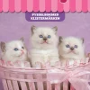 Söta djur pysselbok med klistermärken