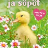 Suloiset ja söpöt värityskirja